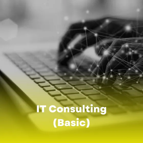 IT Consulting — artwork